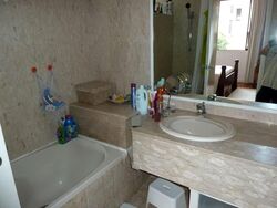 Sommerville Park (D10), Condominium #553865231